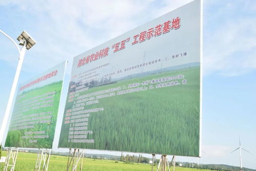 田頭技術服務滿畈駐，助力農業現代化發展